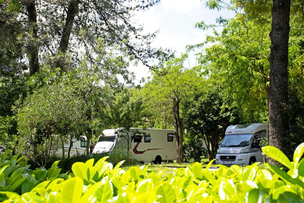 Отель Camping Les Mimosas Пегома Экстерьер фото